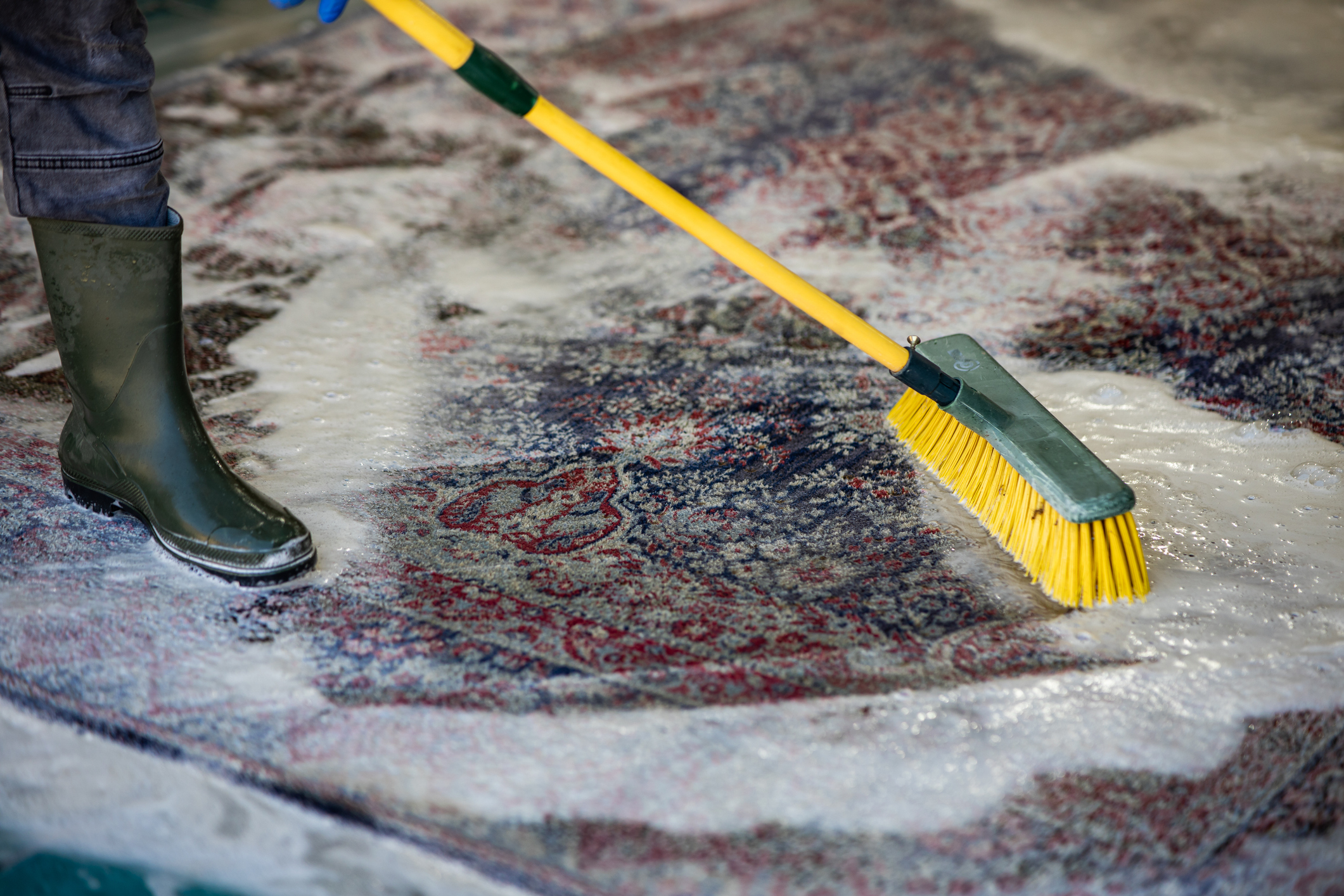 Rug Cleaning Sarasota
